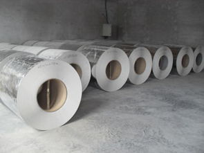 热销推荐 博兴县湖滨镇昊泰pvc卷材厂产品聚焦